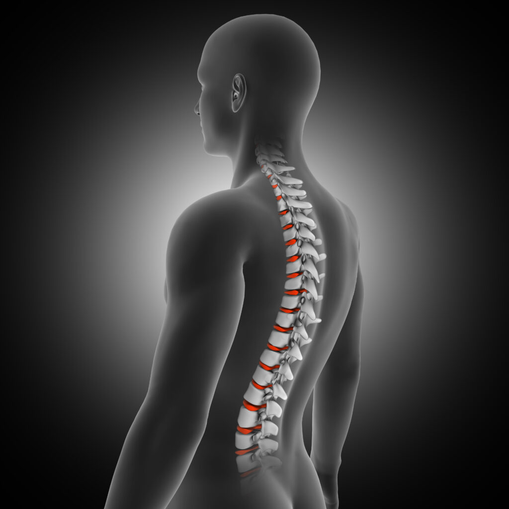 3d render medical background with male figure with spine discs highlighted