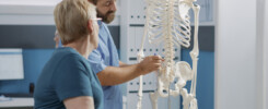 male doctor pointing human skeleton show spinal cord explain mechanical disorders rehabilitation cabinet specialist explaining back bones system physical therapy scaled